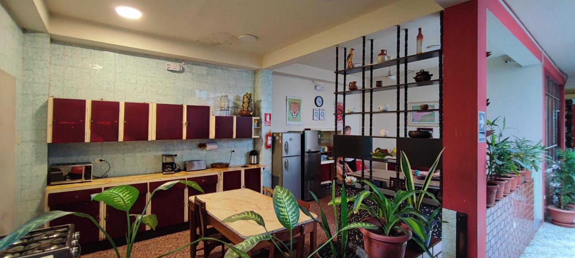 Flying Dog Hostel Iquitos Bagian luar foto