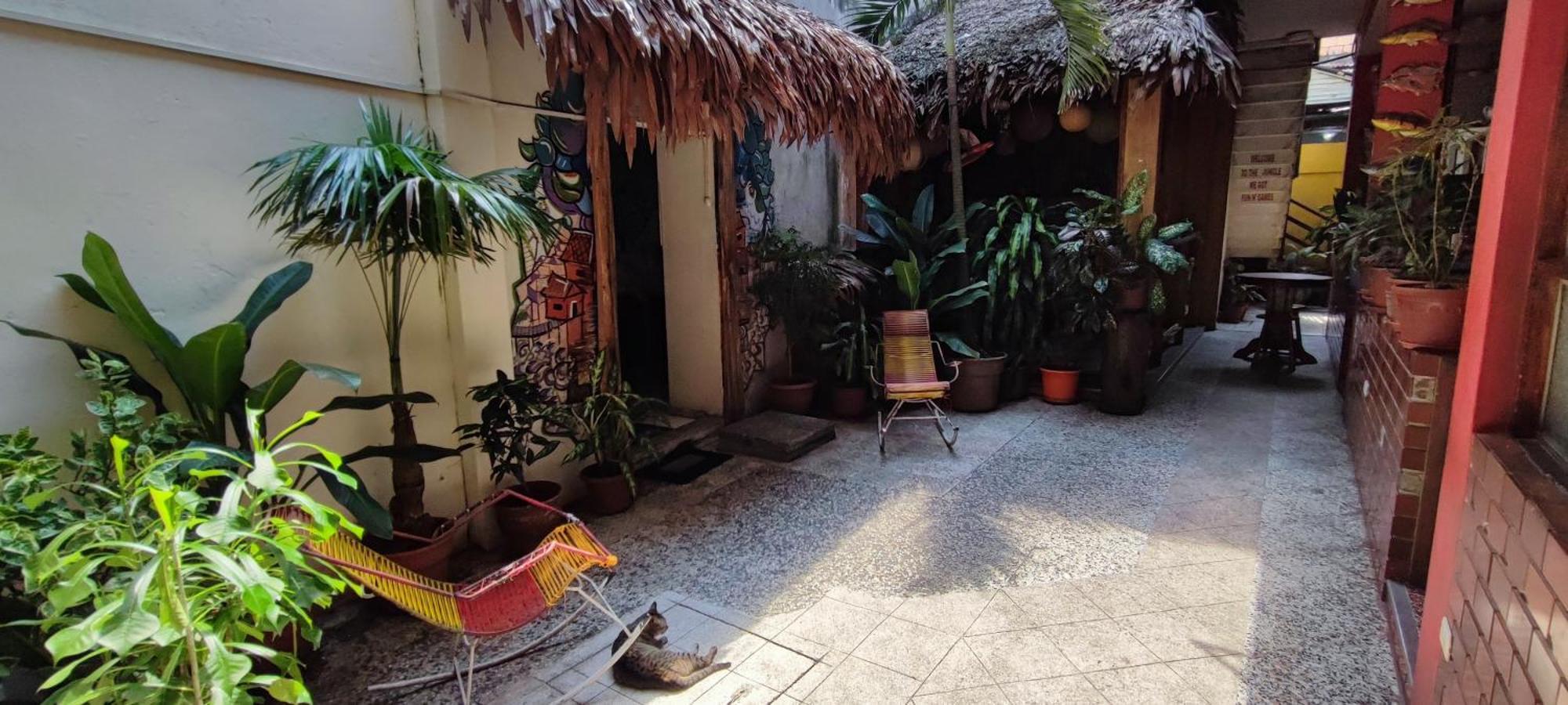 Flying Dog Hostel Iquitos Bagian luar foto