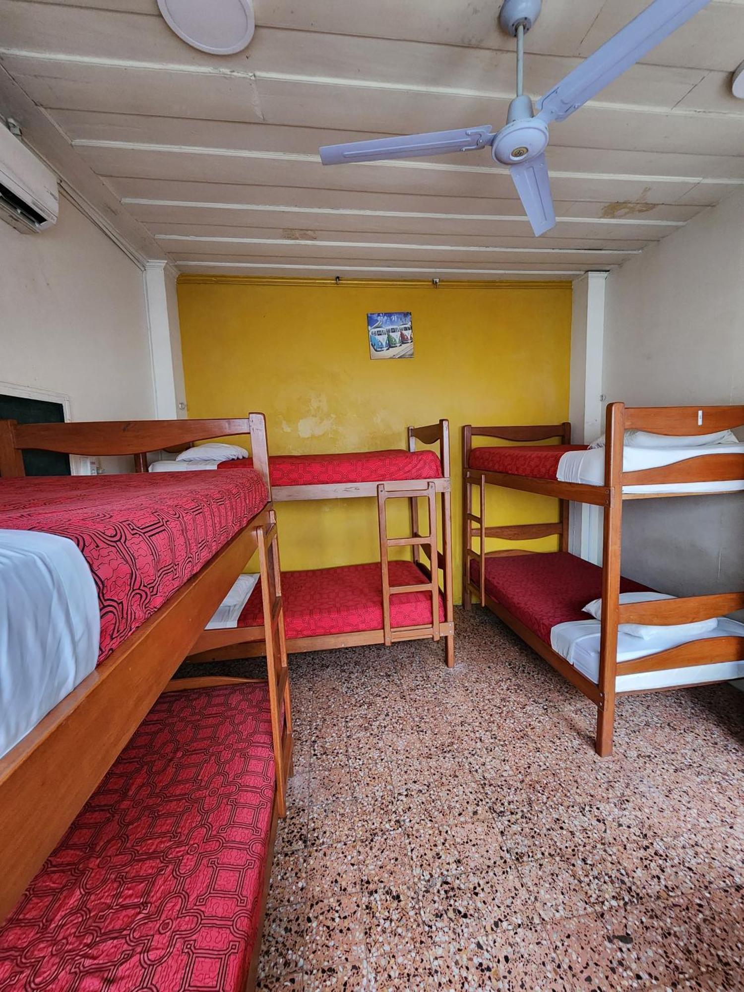 Flying Dog Hostel Iquitos Bagian luar foto