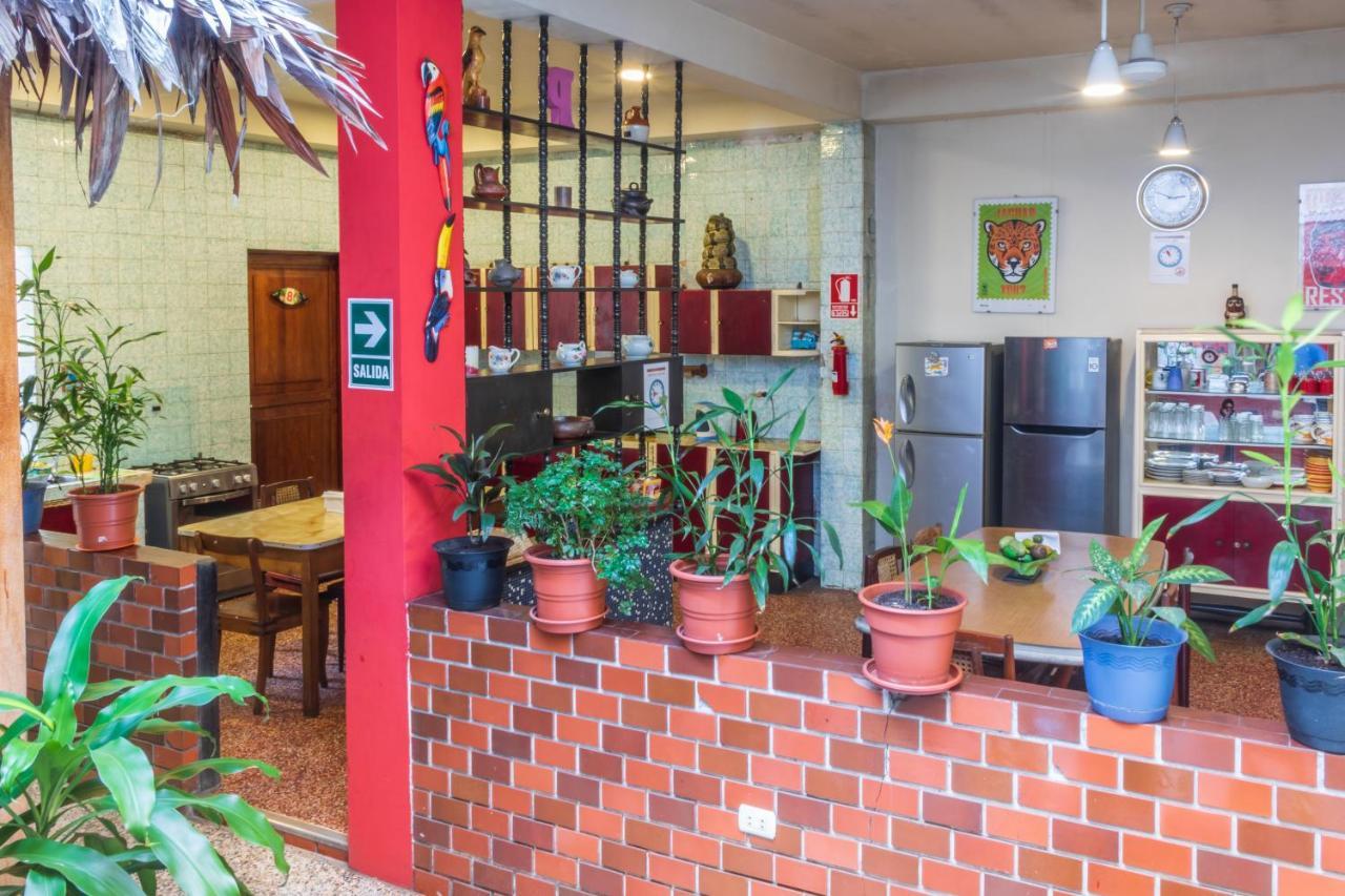 Flying Dog Hostel Iquitos Bagian luar foto