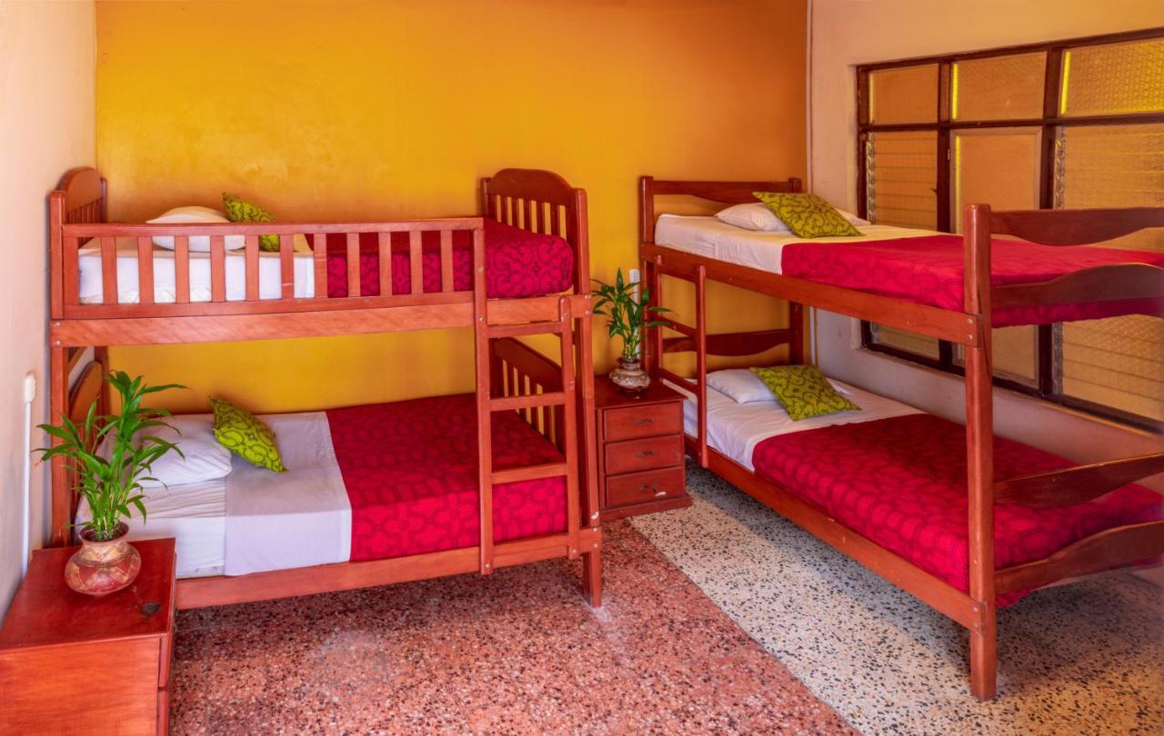 Flying Dog Hostel Iquitos Bagian luar foto