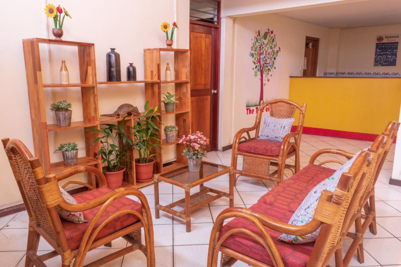 Flying Dog Hostel Iquitos Bagian luar foto